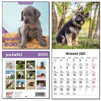 Kalendarz 2021 13 Plansz 16x16cm Psiaki EV-CORP