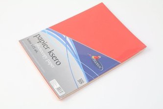 Papier ksero A4/125ark. kolor mix