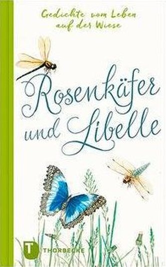 Rosenkäfer und Libelle