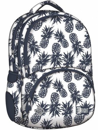 Plecak 4-komorowy Ananasy Plecak 4-komorowy Ananasy
