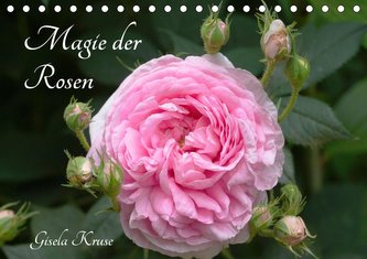 Magie der Rosen (Tischkalender 2021 DIN A5 quer)