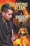 Cleansing Flame
