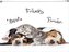 Koperta z nadrukiem zip A4 PP Animals