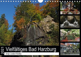 Vielfältiges Bad Harzburg (Wandkalender 2021 DIN A4 quer)