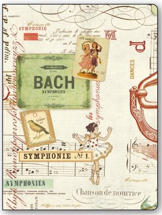 Teczka na dokumenty FF 089B ROSSI