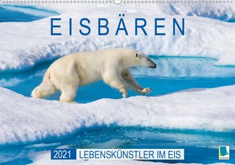 Eisbären: Lebenskünstler im Eis (Wandkalender 2021 DIN A2 quer)