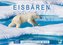 Eisbären: Lebenskünstler im Eis (Wandkalender 2021 DIN A2 quer)