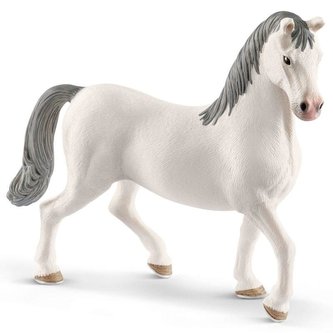 Ogier Lipizzaner