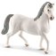 Ogier Lipizzaner