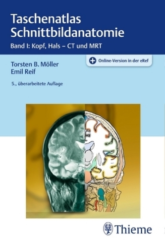 Kopf, Hals