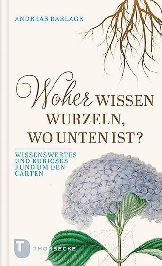 Woher wissen Wurzeln, wo unten ist?