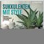 Sukkulenten mit Style