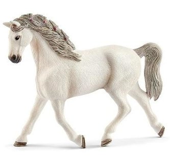 Kobyla Holštýnského koně