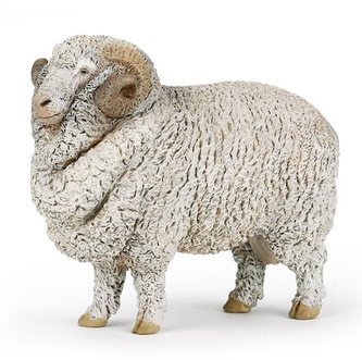Beran Merino