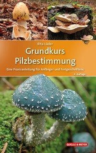 Grundkurs Pilzbestimmung