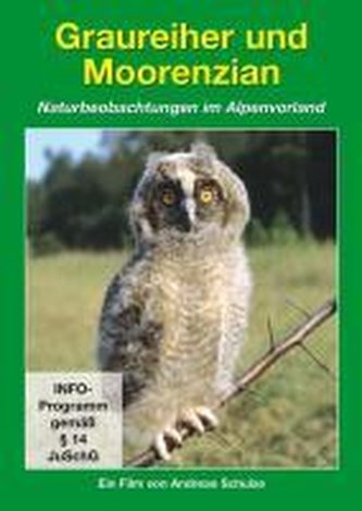 Graureiher und Moorenzian