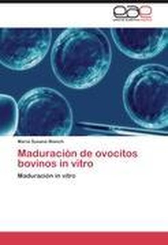 Maduración de ovocitos bovinos in vitro