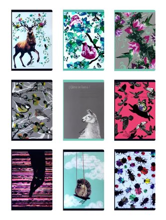 Zeszyt A5/60K linia PP Fun II (6szt) NARCISSUS