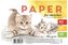 Papier artystyczny A3/20K 140g/m2 FRESH