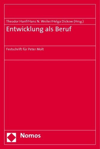 Entwicklung als Beruf