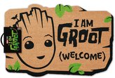 Rohožka Marvel|Groot: Logo Maska (60 x 40 cm) hnědá