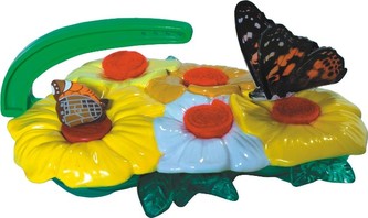 INSECT LORE Motýlí krmítko