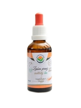 Salvia paradise - Ženšen pravý 6letý AF tinktura BIO 50 ml panax ginseng