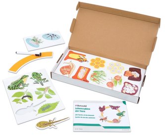 Životní cyklus zvířat magnetický