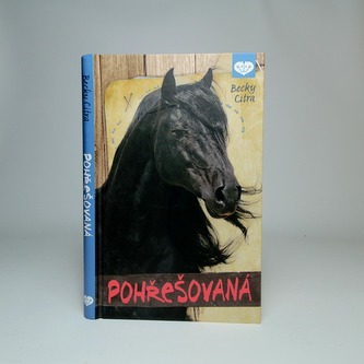 Pohřešovaná
