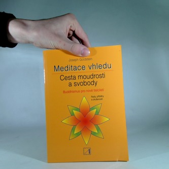 Meditace vhledu