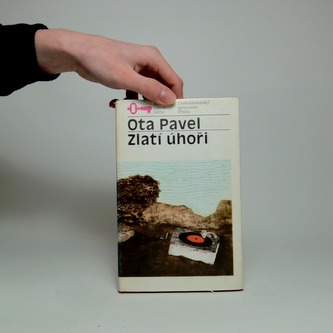 Zlatí úhoři