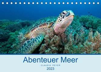 Abenteuer Unterwasser (Tischkalender 2023 DIN A5 quer)