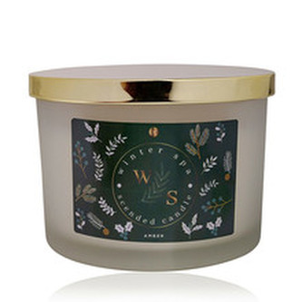 Accentra Vonná svíčka Winter Spa (Scented Candle) 170 g unisex