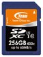 TEAM 256GB Secure Digital SDXC/ UHS-1