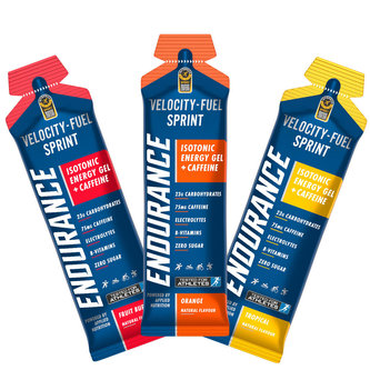 Endurance Isotonic Energy Gel - Sprint 60ml  fruit