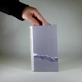 Už hořela, když jsem si do ní lehal