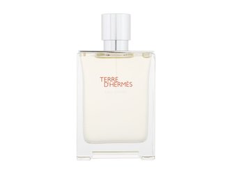 Hermes Terre d´Hermes Parfémovaná voda Eau Givrée 100 ml Plnitelný pro muže