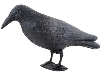 havran maketa na plašení špačků a holubů havran maketa na plašení špačků a holubů