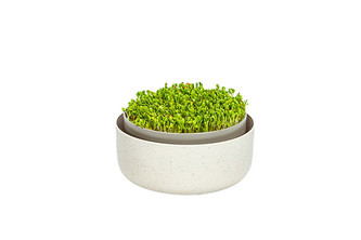 Urbalive Microgreens - slonová kost s kávovou sedlinou