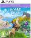 Horse Tales: Emerald Valley Ranch - Limited Edition (PS5)