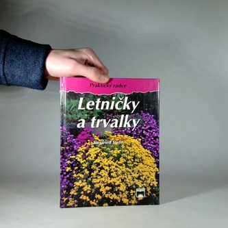 Letničky a trvalky