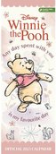 Oficiální nástěnný kalendář 2023 Winnie The Pooh|Medvídek Pú (14,9 x 42 cm)