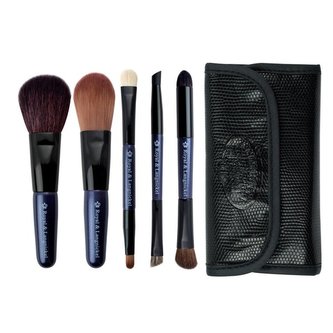 Royal & Langnickel BRUSH ESSENTIALS Cestovní sada štětců (5 ks) Varianta: Fialová