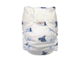 Ai2 BIO (S) - Rejnoci SZ