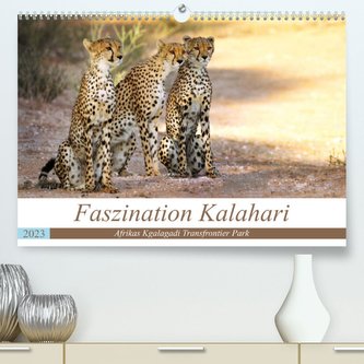 Faszination Kalahari (Premium, hochwertiger DIN A2 Wandkalender 2023, Kunstdruck in Hochglanz)