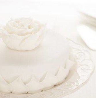 Roll Decor potahovací hmota 2,5kg