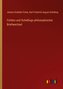 Fichtes und Schellings philosophischer Briefwechsel