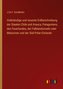 Vollständige und neueste Erdbeschreibung der Staaten Chile und Arauca, Patagoniens, des Feuerlandes, der Falklandsinseln oder Ma