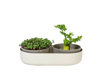 Urbalive Velká farma Microgreens + Regrow - slonová kost