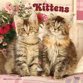Kittens, I Love 2023 Square Foil